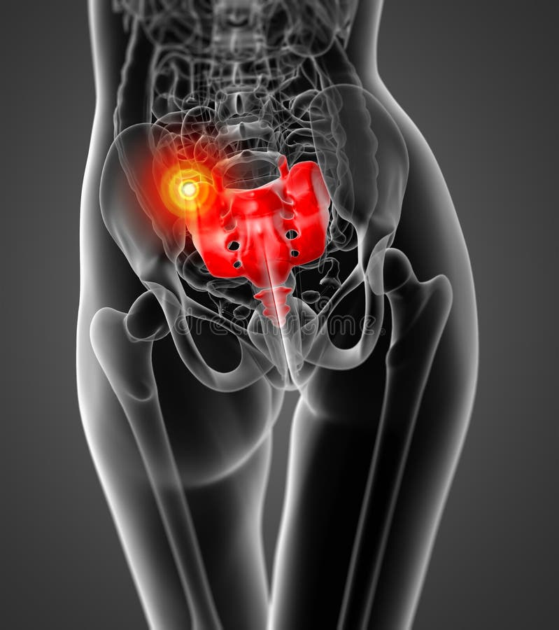3d rendering medical illustration of sacrum bone stock illustration