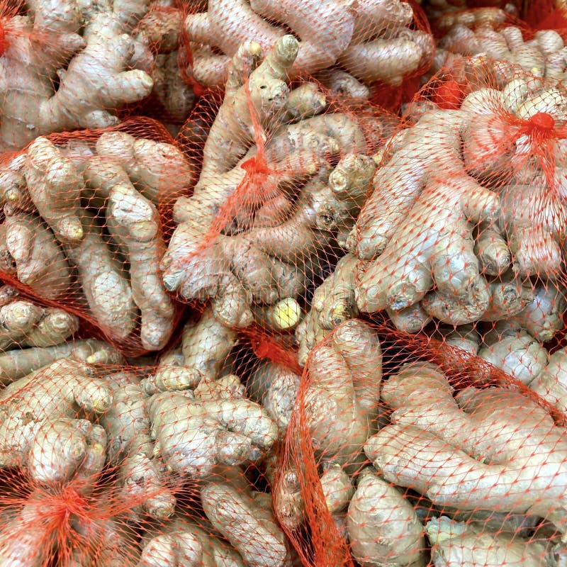 Sacs de filets rouges de gingembre frais photographie stock libre de droits