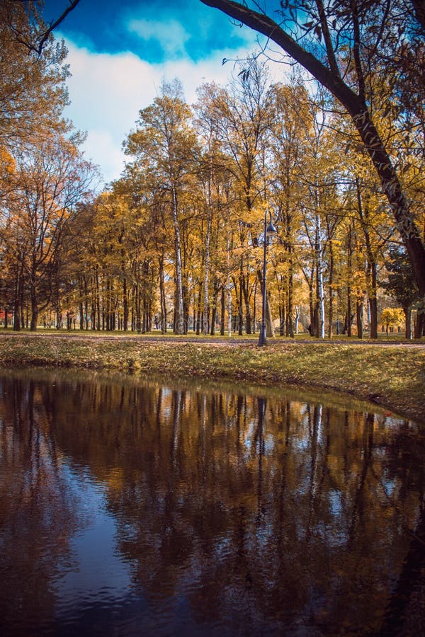 A Sad Autumn Park in Cloudy Weather Stock Image - Image of background ...