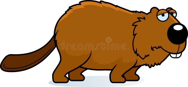 Asianbeaver