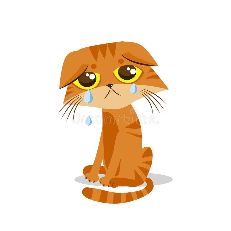 Cat Meme Vector Art, Icons, and Graphics for Free Download