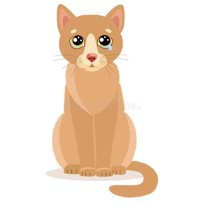 Sad Crying Cat. Cartoon Vector Illustration. Crying Cat Meme. Cat Face  Stock Vector - Illustration of character, design: 70606013