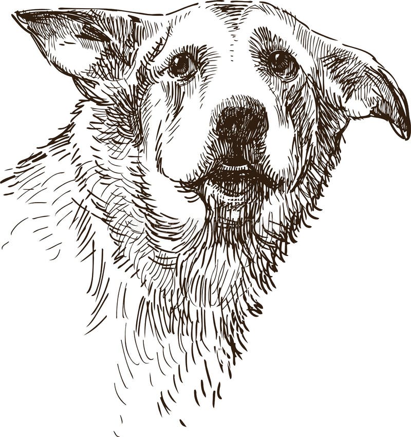 Sad dog stock illustration. Illustration of nature, illustration - 4052273