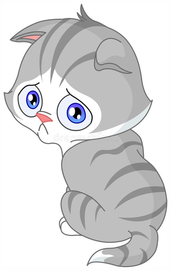 sad kitten clipart