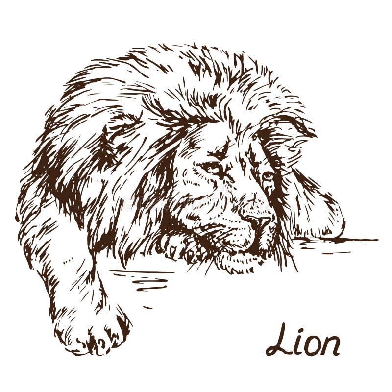 Sad Lion Stock Illustrations – 533 Sad Lion Stock Illustrations