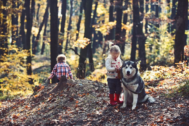 Sad little girl and boy with big dog in forest in autumn stock images Sad little girl and boy with big dog in forest in autumn stock images