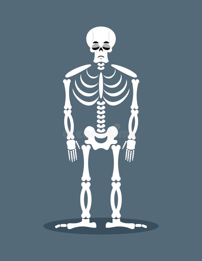 Frame For Day Of The Dead. Multicolored Skeletons. Color Skull. Stock Vector - Illustration Of
