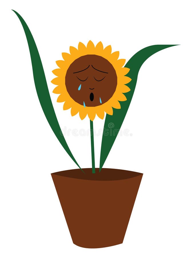 Download Sunflower Pot Stock Illustrations - 966 Sunflower Pot ...