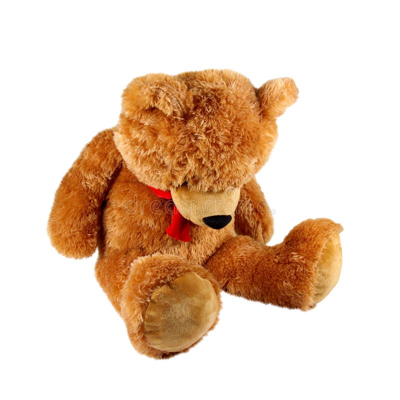 teddy bear na phota