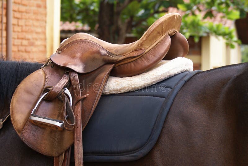 Saddle stock photos