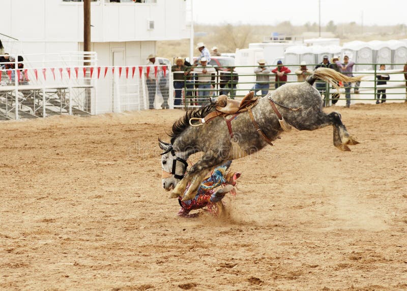 Saddle bronc 2