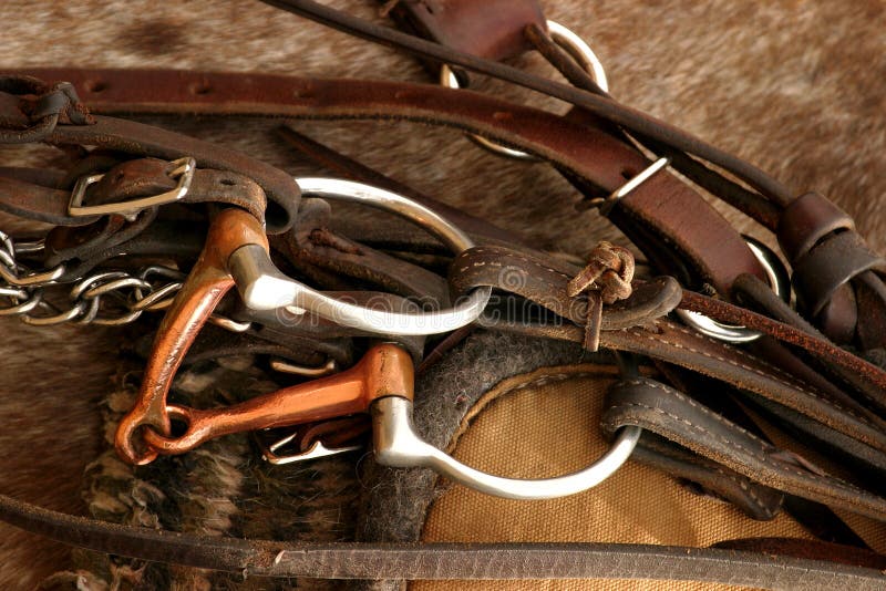 9,627 Western Saddle Stock Photos Free & RoyaltyFree Stock Photos