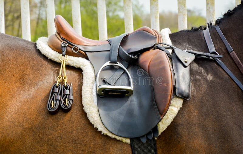Saddle on horse royalty free stock images