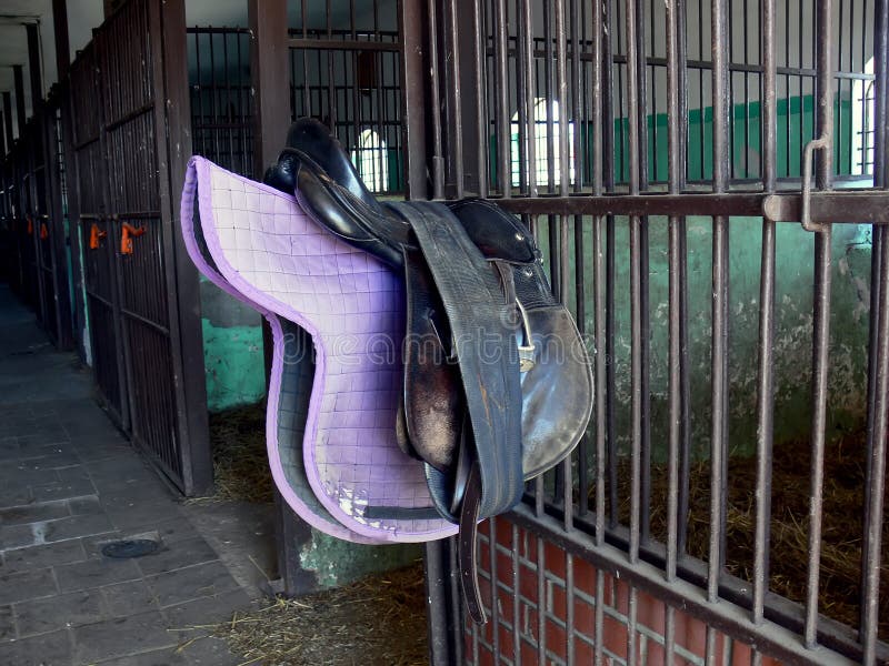 Saddle in stable
