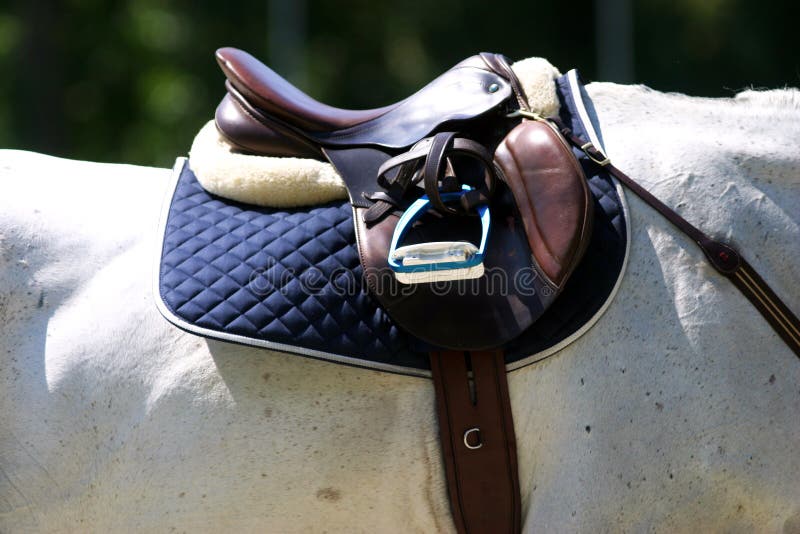 Saddle with Stirrups on a Back of a Sporting Show Jumper Horse Stock