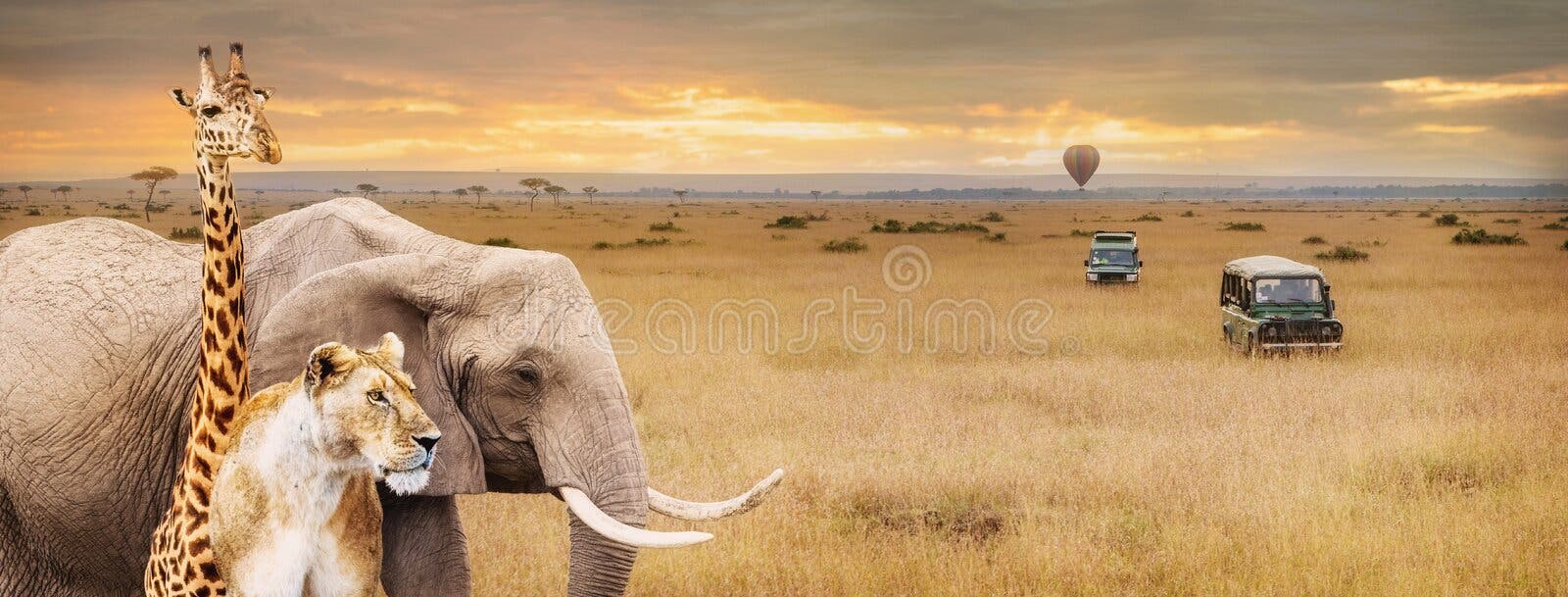 824,791 Wild Animals Stock Photos - Free & Royalty-Free Stock Photos from  Dreamstime