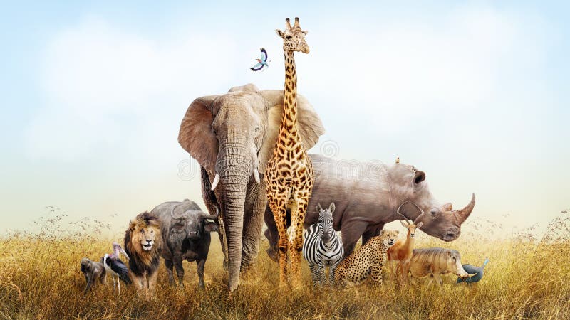 Safari Animals in de Samenstelling van Afrika