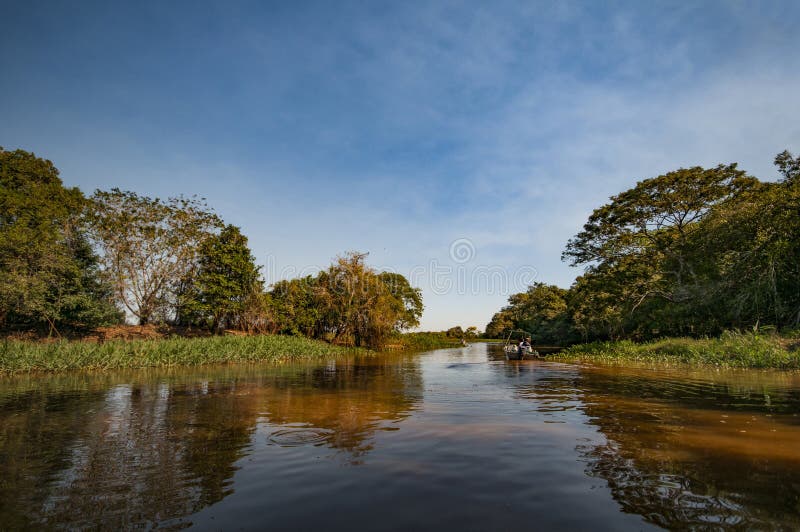 safari rio negro