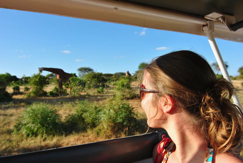 Safari giraffe stock photo. Image of watching, kenya - 22792062