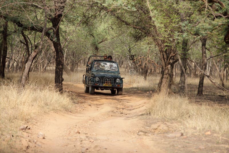 Safari Jeep in Ranthambore Park Editorial Stock Image - Image of luxury