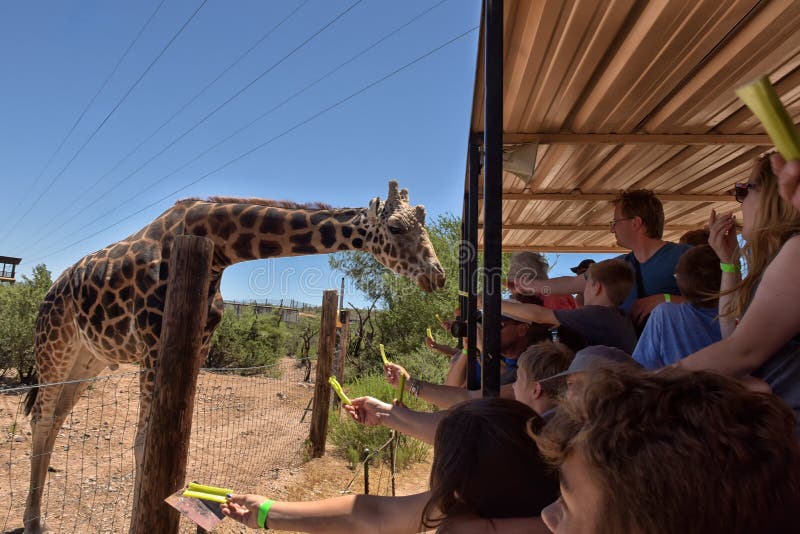 A Safari at Out of Africa Wildlife Park
