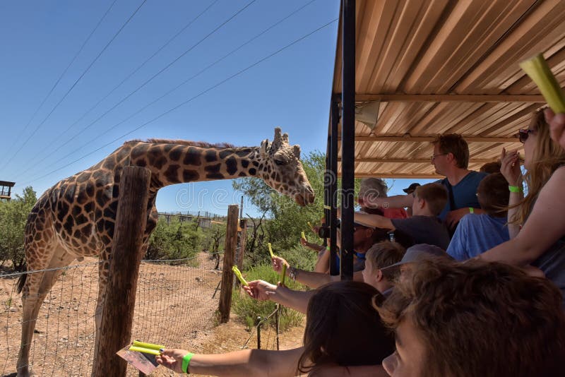 Out of Africa Wildlife Park