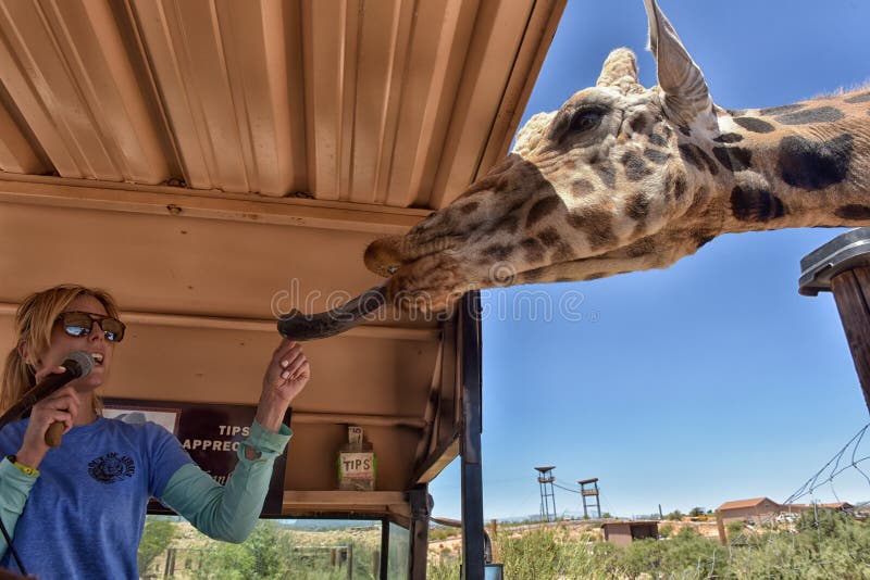 A Safari at Out of Africa Wildlife Park