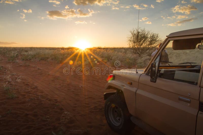 Safari at the sunset, Namibia stock images