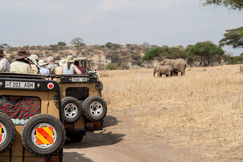 Safari Jeep Viewing Elephants in Tarangire