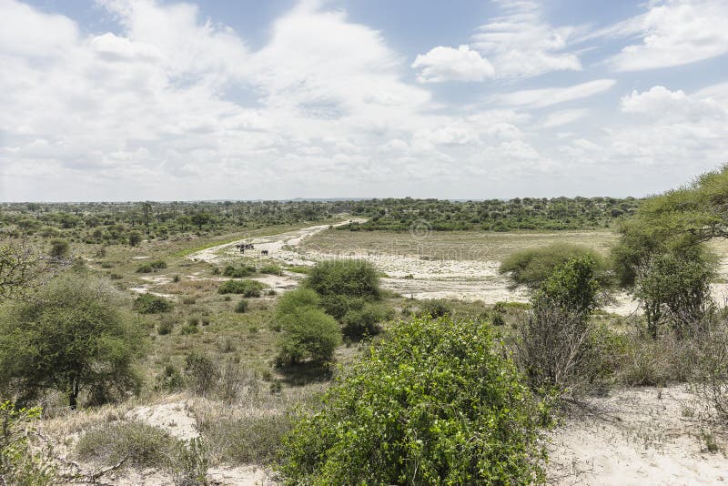 Safari w Tarangire