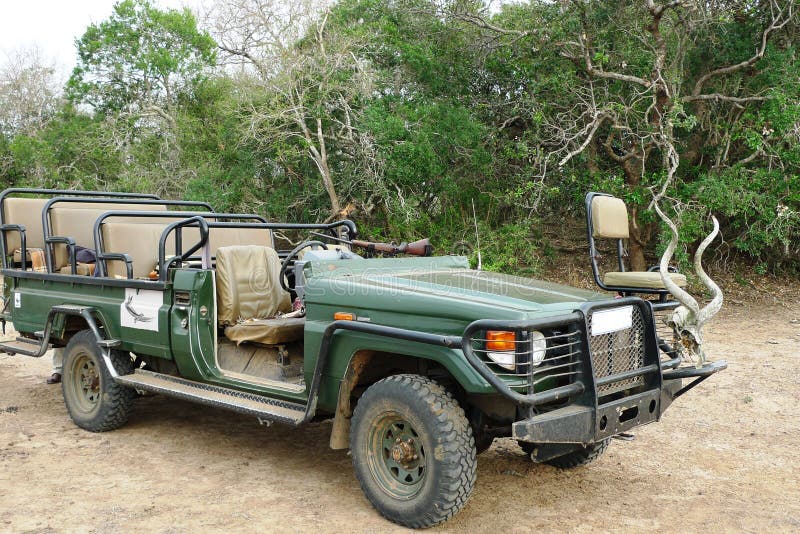 pictures of a safari jeep