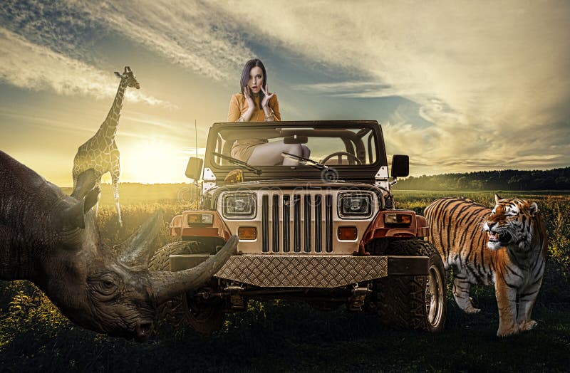 Safari:woman in the jeep discovering wild nature