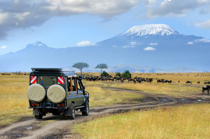 Safarispiel-Antrieb mit dem Gnu lizenzfreie stockfotografie Safarispiel-Antrieb mit dem Gnu lizenzfreie stockfotografie