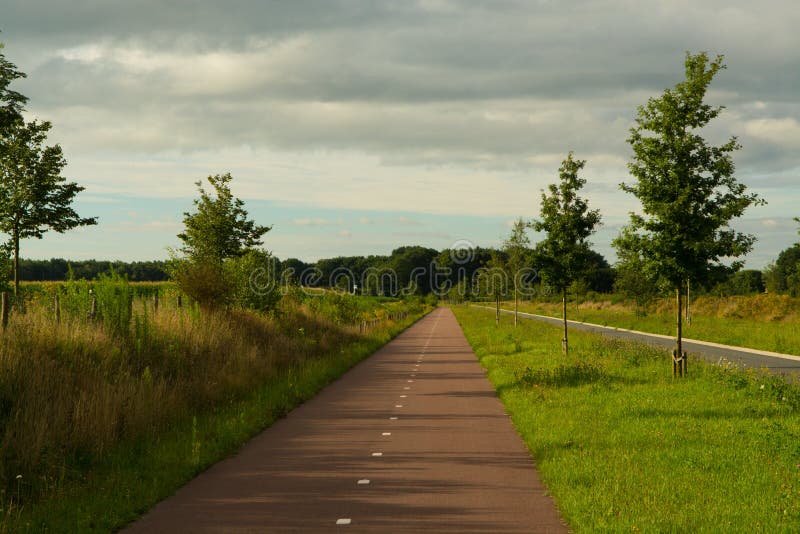 Safe and Cheap Transportation Network of Bicycle Paths in the Stock