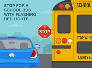 City Bus Lights