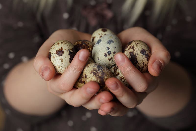 Eggs in hands