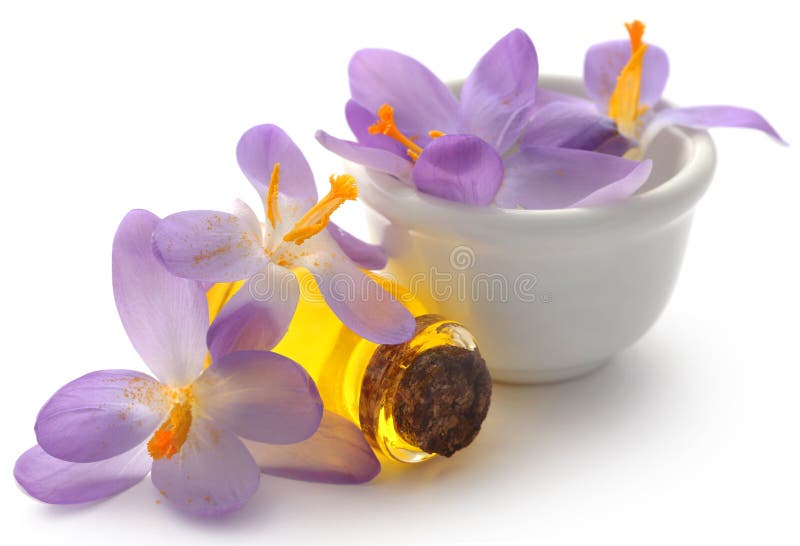 Saffron Crocus Flower with Extract Stock Image Image of exotic, food