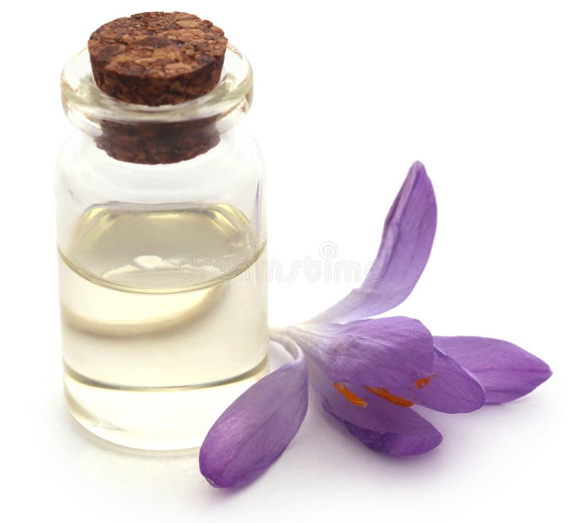 Saffron Crocus Flower with Extract Stock Image Image of nature
