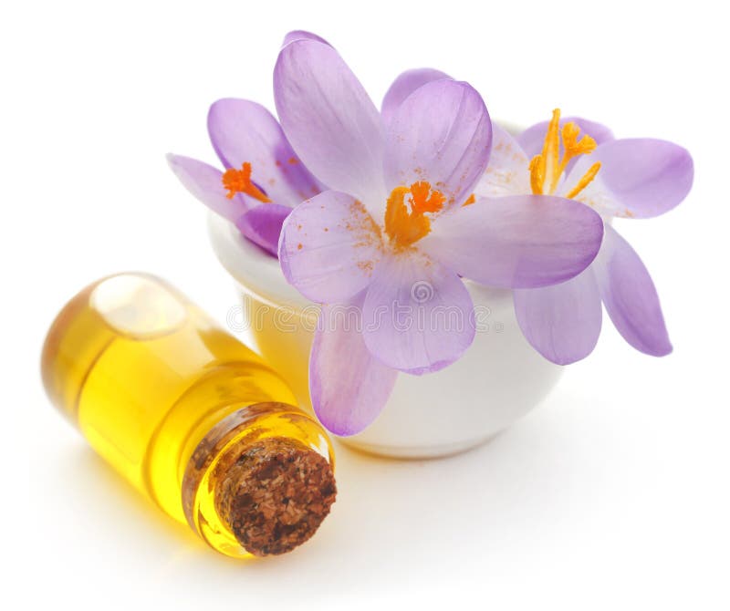 Saffron Crocus Flower with Extract Stock Photo Image of edible