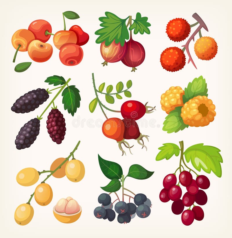 Saftiga färgrika bärsymboler stock illustrationer Saftiga färgrika bärsymboler stock illustrationer