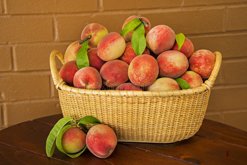 Saftiga mogna Peaches Ready för paj arkivfoto Saftiga mogna Peaches Ready för paj arkivfoto