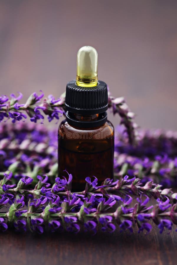 Sage essential oil stock photo. Image of leaf, pampering 23367634