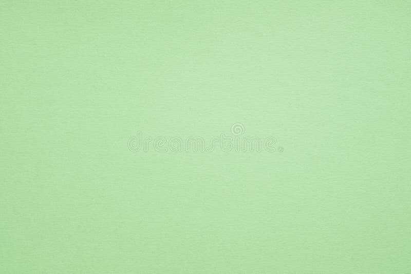 Textured Plain by Eijffinger  Pastel Green  Wallpaper  Wallpaper Direct