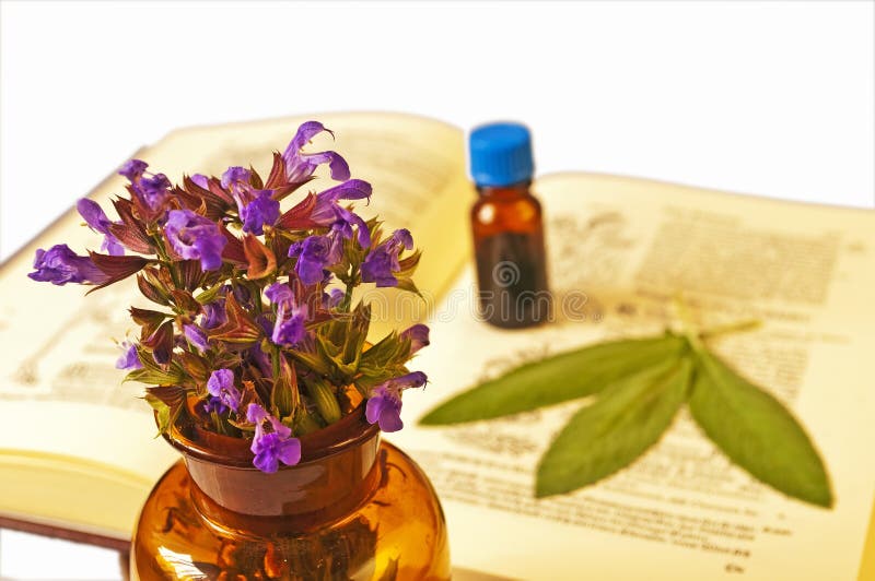 Tincture of sage stock photo. Image of opathic, sage 14381502