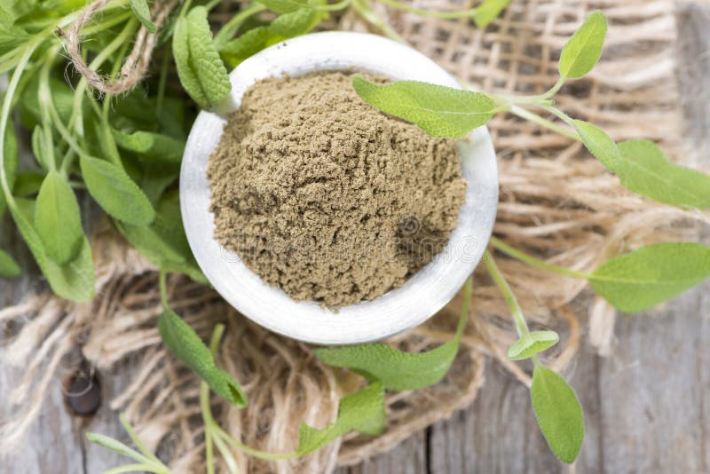 Sage Powder stock image. Image of plant, healthy, italian 38632477