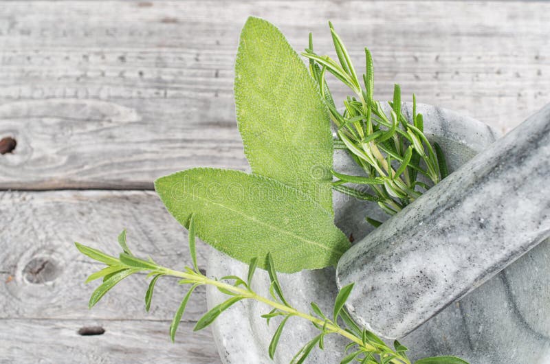 Sage and Rosemary with Mortar and Pestle Stock Photo Image of