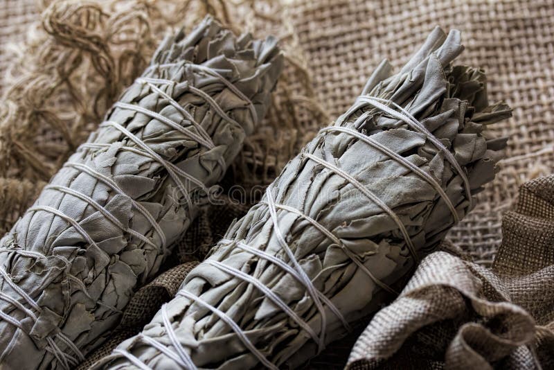 Sage Smudge branco secado imagens de stock Sage Smudge branco secado imagens de stock