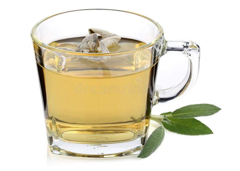 Sage Tea and Sage Leaves Isolated Stock Image Image of freshness