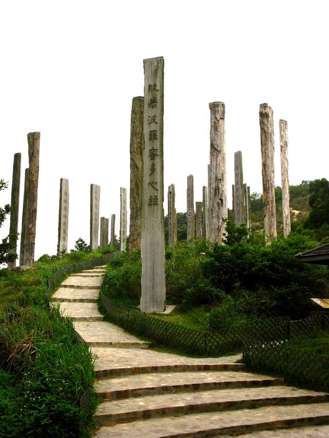 sagesse de chemin image stock sagesse de chemin image stock