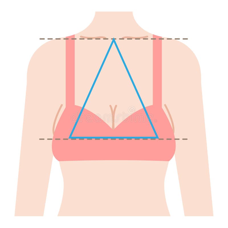Sagging Breast Shape is Isosceles Triangle Connecting Three Points